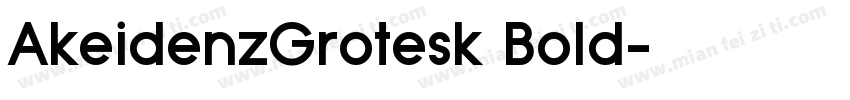 AkeidenzGrotesk Bold字体转换